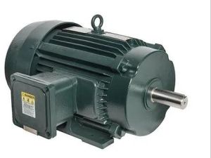 Low Voltage Motor