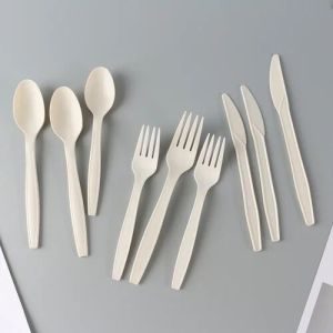 biodegradable spoon