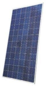 Solar PV Module