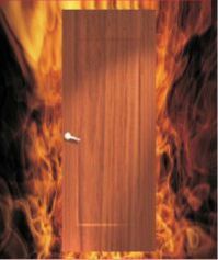 Wooden Fire Doors