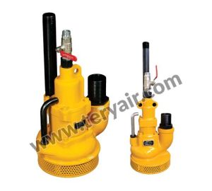 Pneumatic Sump Pumps