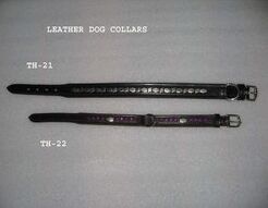 Dog Collars