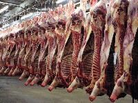 meat processing plants