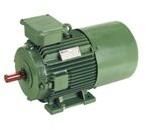 Inverter Duty Motors