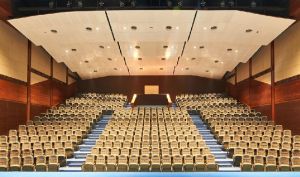 Auditorium Chairs