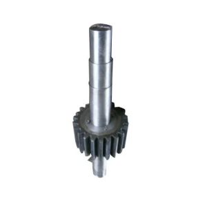 Worm Shaft Gear