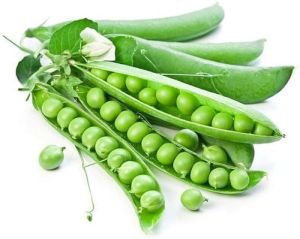 Pea Seeds