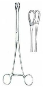 Sponge Holding forceps