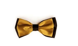 Double Layered Bow Tie