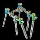 pedicle screws