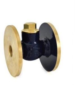 Horizontal Check Valve