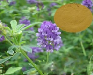 Alfalfa Extract