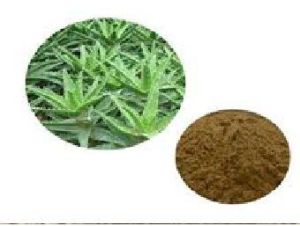 Aloe Vera Dry Extract