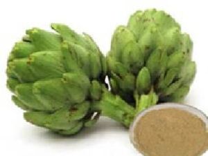 artichoke extract