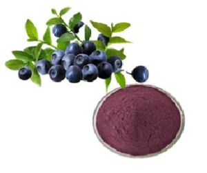 Bilberry Extract