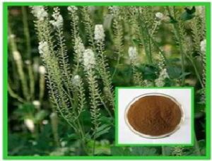 Black Cohosh Extract