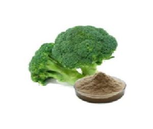 Broccoli Extract