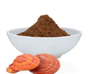 Ganoderma Extract