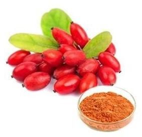 Goji berry extract