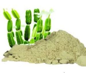 Hadjod Cissus Quadrangularis Extract