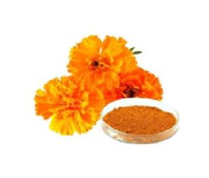 Marigold Extract