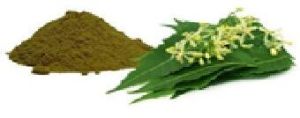 Neem Extract