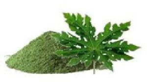 papaya leaf extract