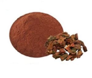 Pine Bark Extract