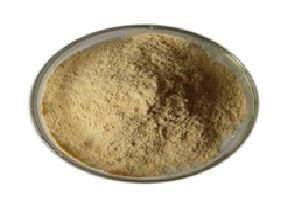 Protease Enzyme Powder