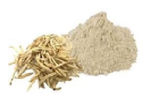 Safed Musli Extract