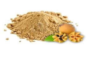 Sapota Powder