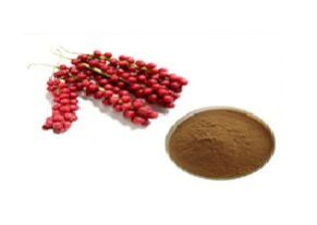 schizandra berry extract