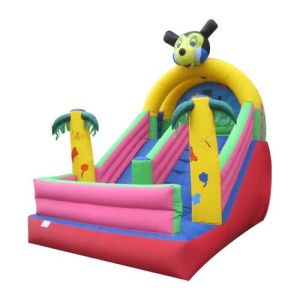 Inflatable Kids Bouncy