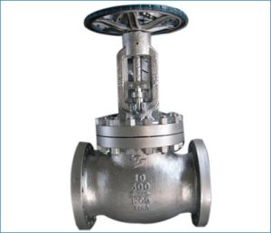 Globe Valve