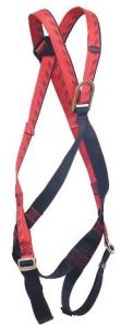 controlled descent full body harness