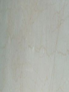 Platinum Beige Marble