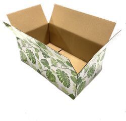 Vegetable Box