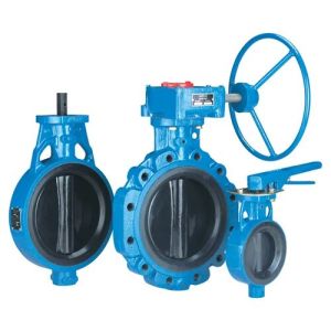 Butterfly Valves