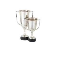 aluminium trophy