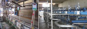 Swingover Milking Parlor