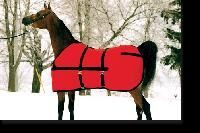 horse blankets