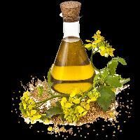 Mustard oil