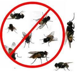 Industrial Fly Control Services