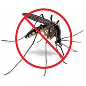 Industrial Mosquito Control Services