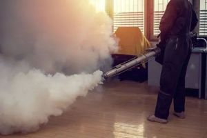 Mosquitoes Fogging Treatment Service