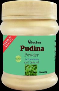 Pudina Powder