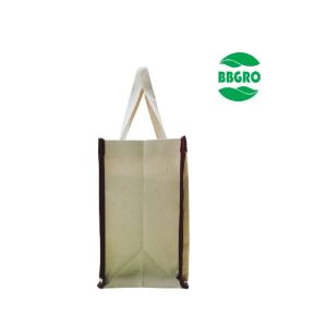 BBGRO Big Eco Cotton Canvas Shopping Bags for Carry Milk Grocery Fruits Vegetable with Reinforced Ha