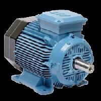 Ac Squirrel Cage Induction Motor
