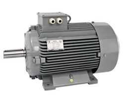 AC Induction Electric Motor
