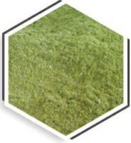 100% organic moringa powder